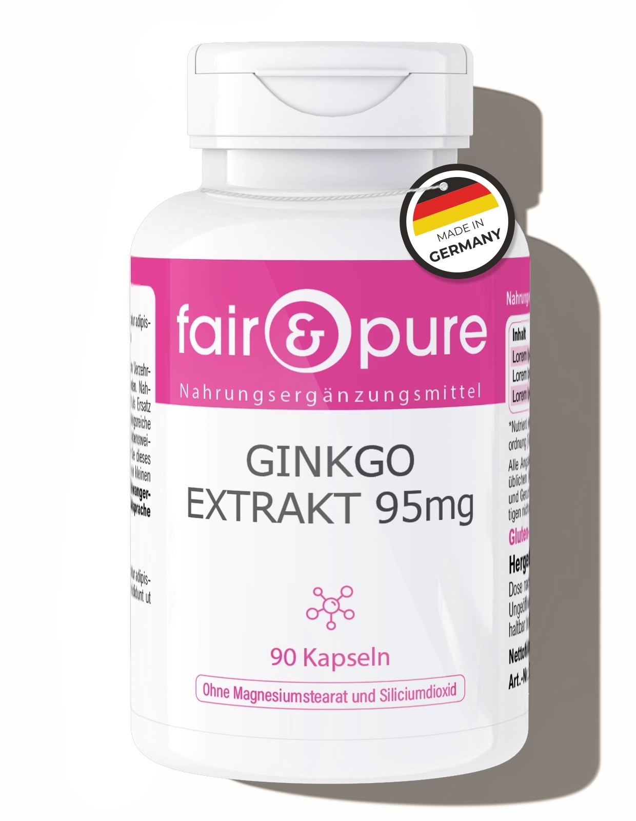 Ginkgo Extract 100mg